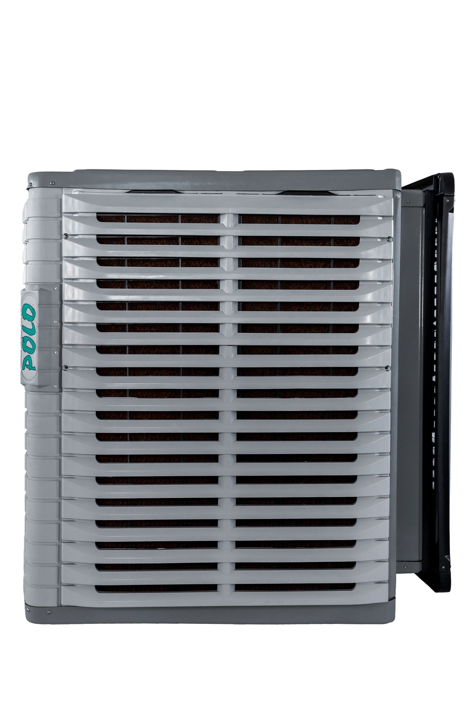 Vista 6